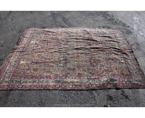 A Carpet. 11'4" x 8'1"