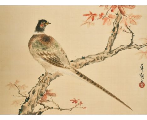 Chinese School, Study of a Pheasant, watercolour on silk, signed and with seal, 13.75" x 19.75"and another of birds on a bran