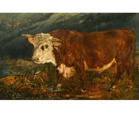 19th Century School, a bull in a landscape beneath darkening skies, oil on panel, 10.25" x 15.75", unframed.