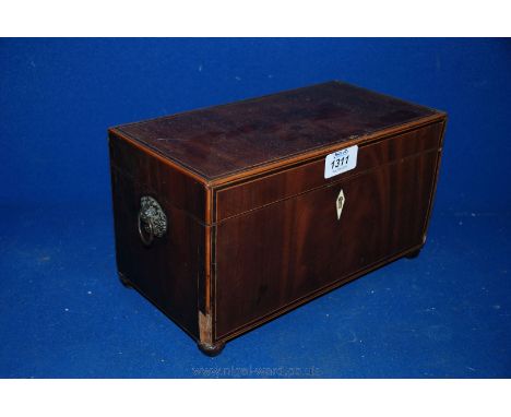 A Mahogany Tea Caddy with box wood and ebony inlay, lion head handles and bun feet, for restoration