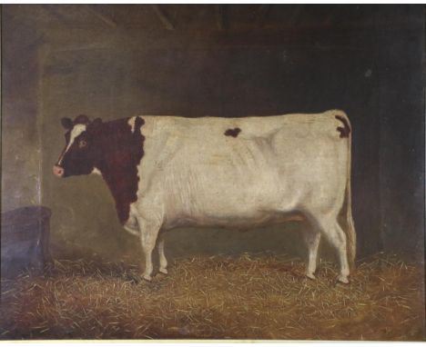 English School (19th century)  Portrait of a prize cow standing in a barn. Oil on canvas, 49.5cm by 62cm  
