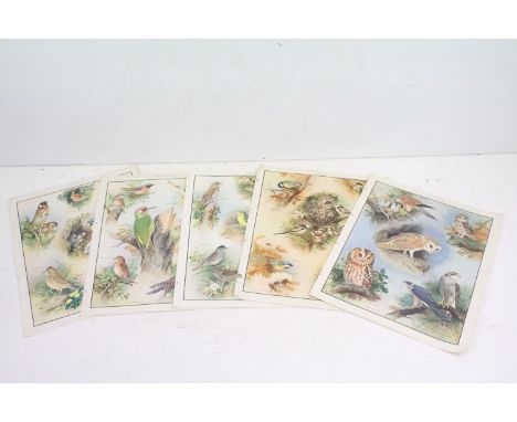 Five vintage mid 20th Century illustrated classroom &nbsp;bird posters by Roland Green, to include flesh eating birds, titmic