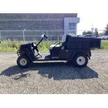 (2019) Cushman Hauler 1200 Gasoline Powered Utility Golf Cart