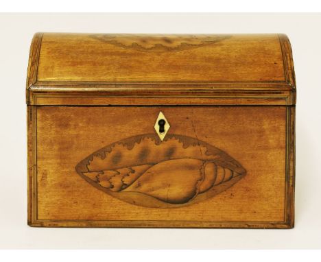 A George III inlaid satinwood tea caddy, with a dome top, with a shell inlaid top and front, with two lidded compartments, 18