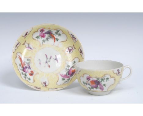 A Worcester rare teacup and saucer, painted with panels of brightly coloured disheveled birds and smaller panels of insects, 