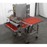 Sauce Topping Applicator with Conveyor