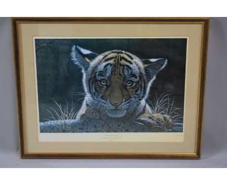 A Framed Limited Edition Indian Print of a Tiger Cub, No 76/1000, 53 x 35.5cms 