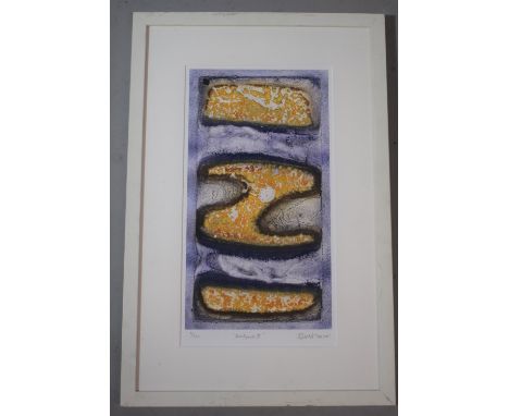 A Framed Limited Edition Print, 'Rockpools II' by BR. Martin Andrews, No. 11/125 and Signed by the Artist, 40 x 22cms 