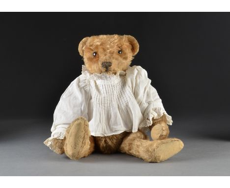 A rare early Steiff blank button PAB 28 teddy bear circa 1905, with reddish golden mohair, black boot button eyes, pronounced