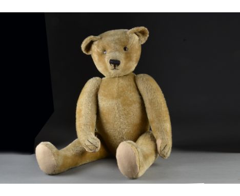 An large German Teddy Bear, 1910-20s, with short golden mohair, black boot button eyes, pronounced muzzle, black stitched nos