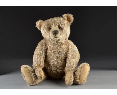 A fine and early Steiff teddy bear circa 1910, with golden mohair, black boot button eyes, pronounced muzzle, black stitched 