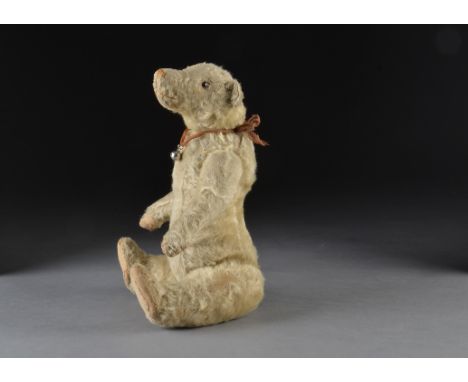 A rare British jointed polar bear 1910-20s, with white mohair, clear and black glass eyes, brown stitched nose, mouth and cla