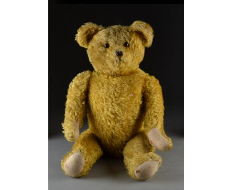 A large Petz teddy bear circa 1950, with golden mohair, orange and black glass eyes, pronounced muzzle, black stitched nose, 