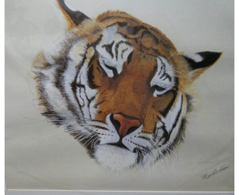 A limited Edition print of a sleeping tiger entitled Cat Nap, framed watercolour of a lady and another unframed watercolour