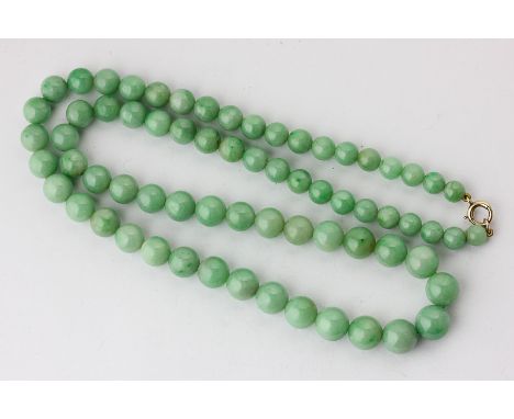 A jade bead necklace the graduated beads on a gold bolt ring clasp