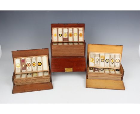 A collection of one hundred and thirty-two microscope specimen slides, late Victorian and mostly later, including histology, 