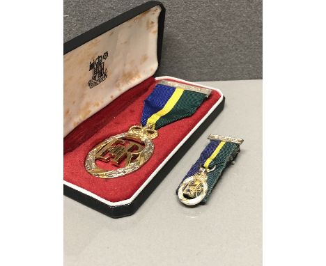 TERRITORIAL EFFICIENCY DECORATION T &amp; A V R WITH MINIATURE