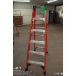 Werner 6' fiberglass step ladder