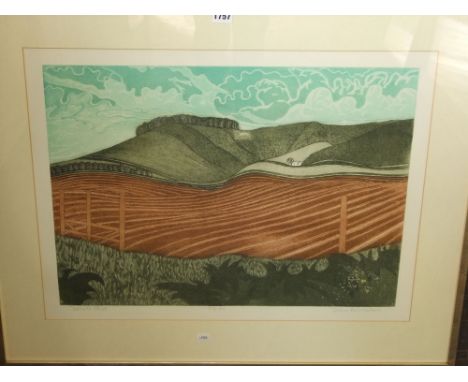 John Brunsdon (British 1933-2014) - Cherhill Horse, coloured limited edition etching, signed, edition 59/100, 51 x 66cm, fram
