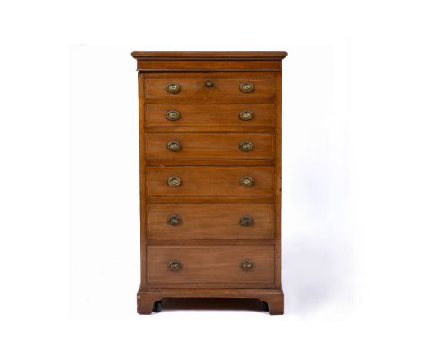 AN EDWARDIAN MAHOGANY CUPBOARD with single door and six faux drawers, brass ring handles, opening to reveal a single shelf an