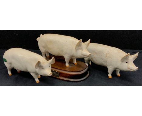 Beswick pigs including; CH Wall Queen, CH Wall Champion Boy, Boar Large white on wooden plinth, 17cm (3)