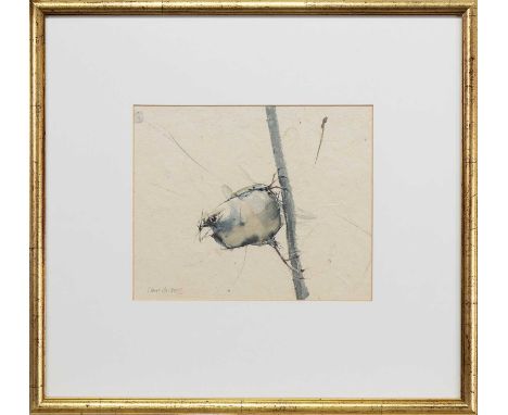 * CLAIRE HARKESS RSW (SCOTTISH b. 1970), FINCH watercolour on paper, signed in pencil, titled versomounted, framed and under 