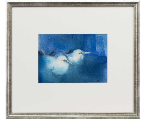 * CLAIRE HARKESS RSW (SCOTTISH b. 1970), PAIR OF GANNETS  watercolour on paper, signed, titled verso mounted, framed and unde