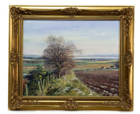 * DONALD M SHEARER (SCOTTISH 1925 - 2017) LOOKING OVER CROMARTY FIRTH oil on canvas, signedframedimage size 40cm x 50cm, over