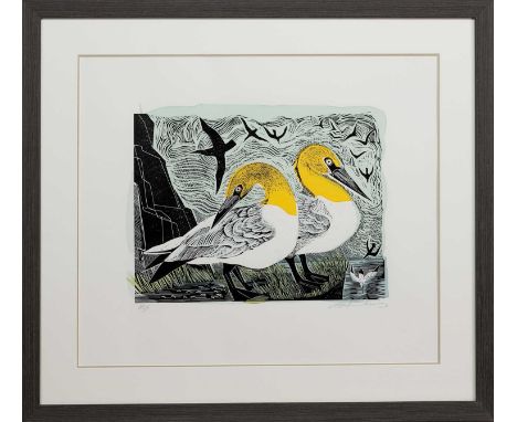 * ANGELA HARDING (BRITISH b. 1960),  TWO GANNETS limited edition linocut and silkscreen print, signed and numbered 23/75mount