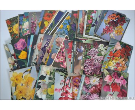 A collection of vintage 20th century postcards all pertaining to fauna and flowers, each postcard unused