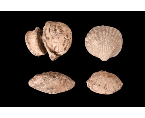 Ca. 100-300 AD. A collection of four lead weights and slingshots. These ancient artifacts feature shell shapes and ellipsoida