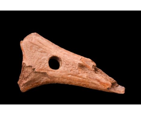 Ca. 8000-6000 BC. A rare artifact of the European Mesolithic era - a horn axe. This stunning piece showcases a flared butt an