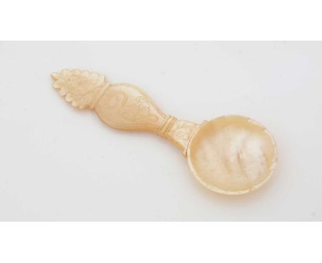 A 19th Century carved mother-of-pearl caddy spoon, engraved with a butterfly on a flowering stem, a dog and a serpent, 10.5cm