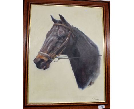 J R Luke - oil on canvas portrait of horse's head, 45-61cm