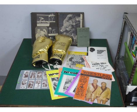 Boxing - Bernard Dunne Signed Gold Paffen Sport Gloves (unverified), scrapbook, publications, Churchman's cigarette cards, Wr