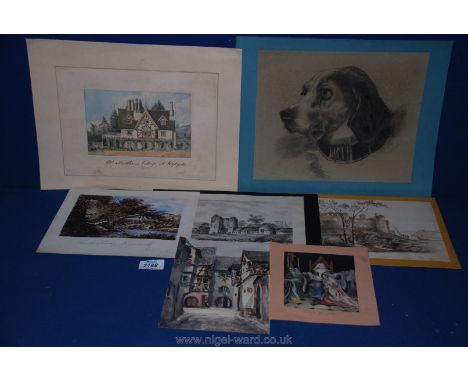 A quantity of watercolour and pencil drawings etc., including portrait  of a dog by D. Millyard..