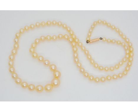 A string of good quality cream pearls with a 15ct gold clasp Condition Report:Available upon request