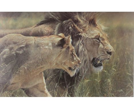 Alan M Hunt (British, b.1947). Beauty and the Beast, study of a lion and lioness, limited edition lithographic print in colou