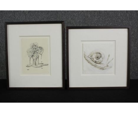 A framed and glazed etching of a snail along with a pencil drawing of a melting four leaf clover. H.29 W.25cm. (largest). 