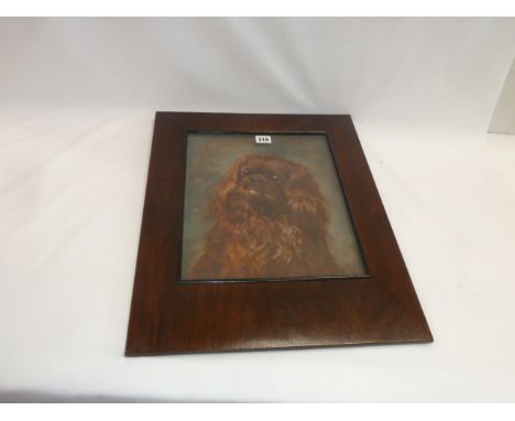 19thC Oil painting - Spaniel portrait 