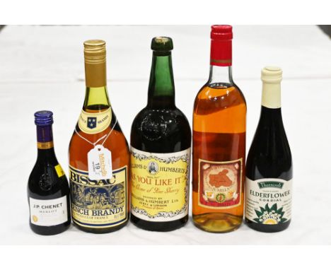 Five bottles of Brandy, Sherry, Rum, Elderflower cordial and miniature bottle of Merlot