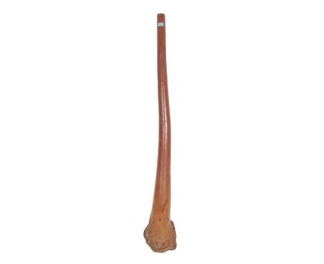 An unusual natural-formed 20th century vintage Didgeridoo musical instrument. Appears of natural free form (possibly naturall