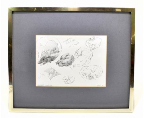 HAROLD RILEY DL, DLITT, FRCS, DFA, ATC (born 1934); a pen sketch, 'Blackie the Xlendi Dogi', signed and dated '76 lower right