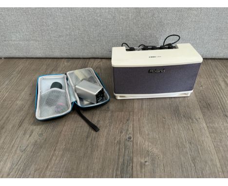A Roland Cube Lite desktop amplifier and speaker, serial number Z5C0763, a set of three bottlenecks, plectrums and an Alessis