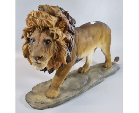 Large modern ceramic study of a male lion, overall 47cm long approx.  (B.P. 21% + VAT) 