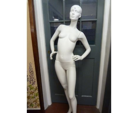 Retailers shop mannequin