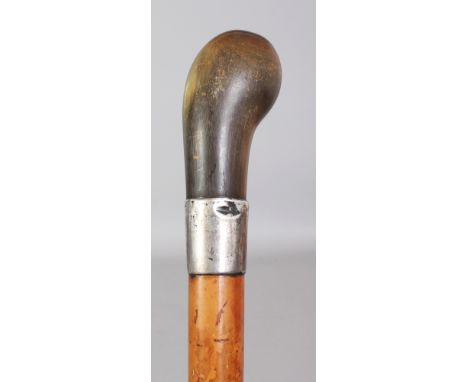 A HORN HANDLED MALACCA WALKING STICK, with a plain hallmarked silver collar, the horn possibly rhinoceros horn, 34.5in long, 