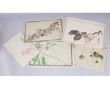 A GROUP OF FIVE 19TH CENTURY JAPANESE WOODBLOCK PRINTS, by various artists, depicting studies of flowers and of fruit, the la