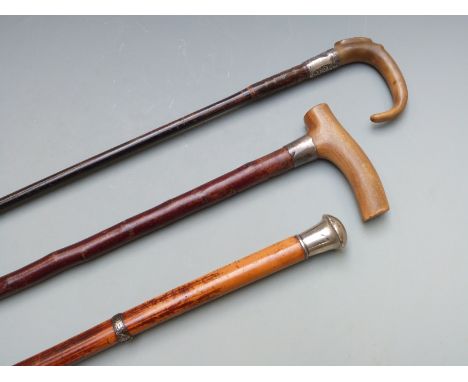 Three white metal or similar mounted walking sticks or canes, two having horn handles