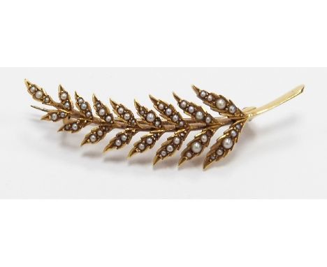 Edwardian 15ct gold fern brooch set with seed pearls, 4.8g
